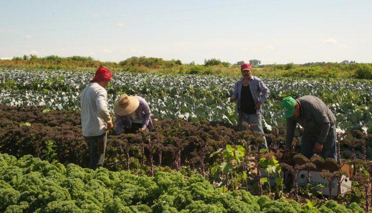 أبواب الهجرة الى الأرياف الأسترالية تفتح مجددا بعد أيام