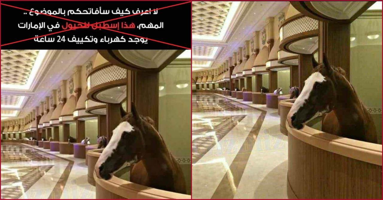 "هذا إسطبل للخيول في الإمارات مع كهرباء وتكييف 24 ساعة"؟ إليكم الحقيقة FactCheck#