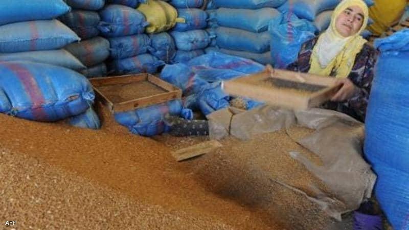 المغرب يحقق ثاني أعلى محصول حبوب في تاريخه