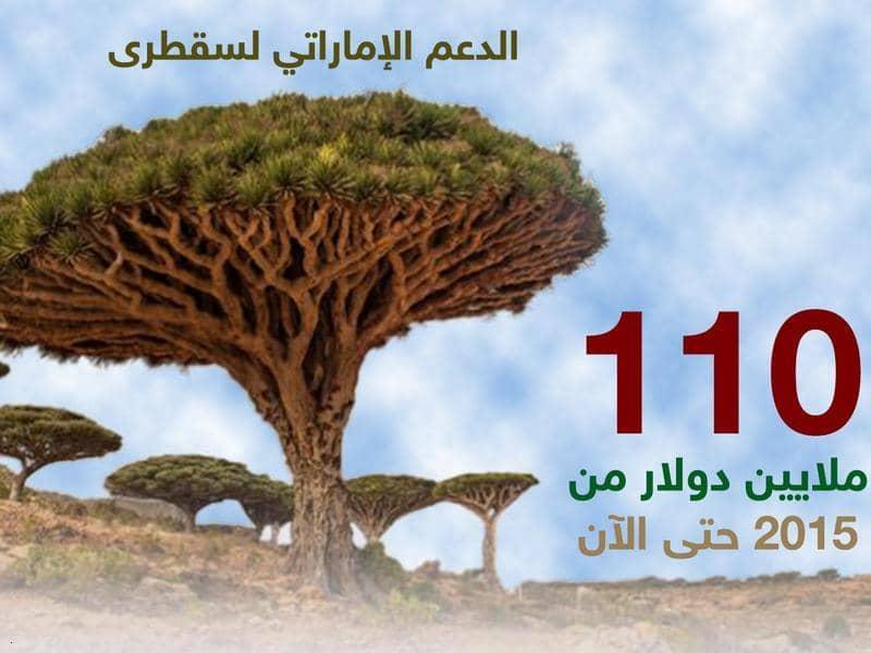 الدعم الإماراتي لسقطرى.. مساعدات هائلة على كافة المستويات