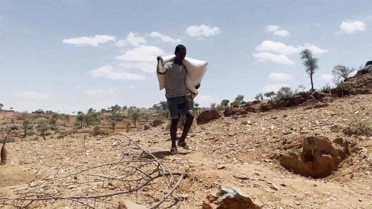 منظمة العفو الدولية وهيئة اليونيسف تنددان بالجرائم المرتكبة بحق النساء والأطفال في أثيوبيا
