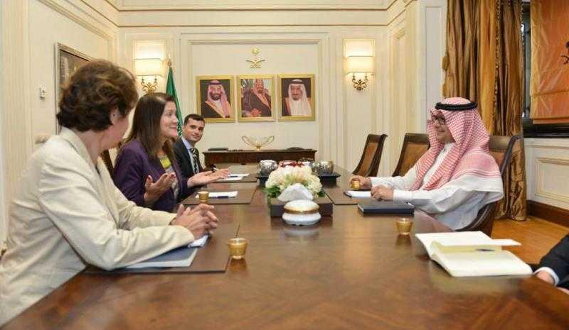 الانفتاح الفرنسي- الاميركي على المملكة: نتبنى قراءتها لأزمة لبنان