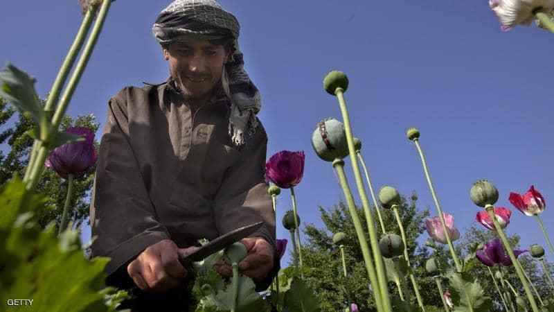 خلال 20 عاما.. كيف مولت طالبان حربها في أفغانستان؟