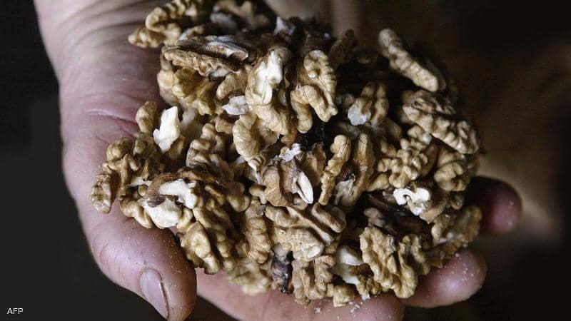 دراسة تكشف فوائد مذهلة لـ "الجوز".. المفتاح لحياة أطول