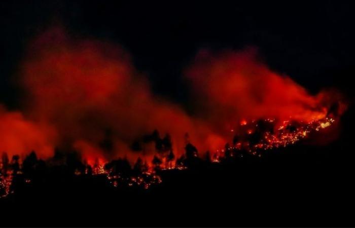 فرض حالة طوارئ محلية وأوامر إخلاء بعد اشتداد حرائق الغابات في جزيرة فانكوفر