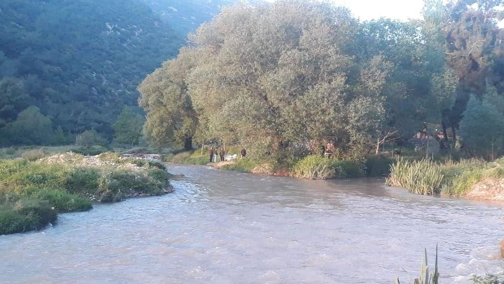 نفوق عدد كبير من الأسماك في مجرى النهر البارد: تحذير من الاقتراب أو الاستخدام