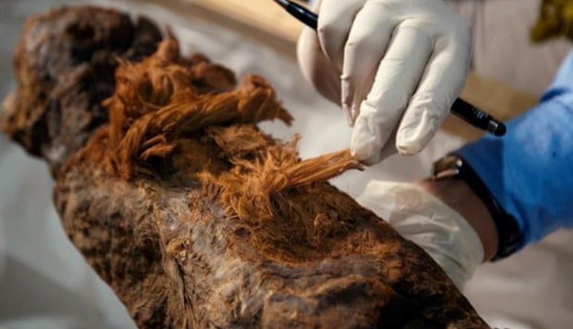 نتائج تحليل مومياء خوي تعيد كتابة تاريخ مصر
