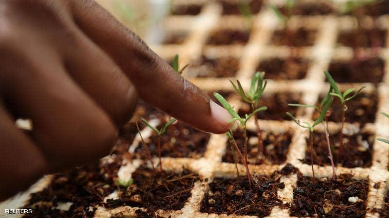 الإمارات وأميركا تقودان مبادرة الابتكار الزراعي للمناخ