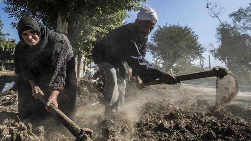 برنامج تأميني ومعاش للمزارعين في مصر.. ما القصة؟