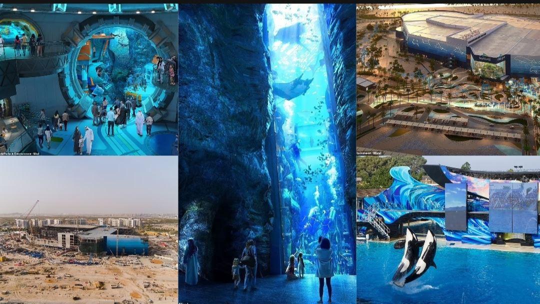 يضم 68 ألف حيوان بحري... الإمارات تقترب من افتتاح أكبر حوض مائي في العالم