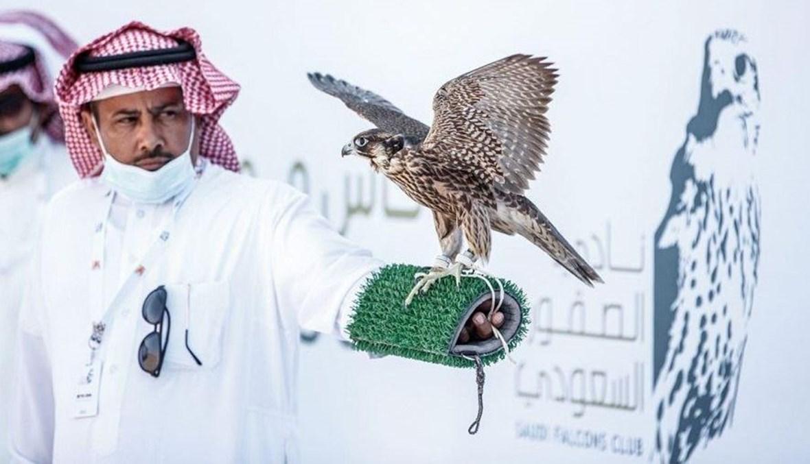 منافسة قوية في كأس "موسم الرياض" للصقور