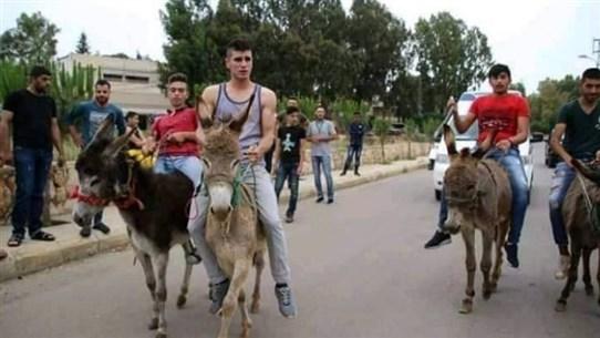 بعد الحمار.. التواصل عبر "مرسال المراسيل"!