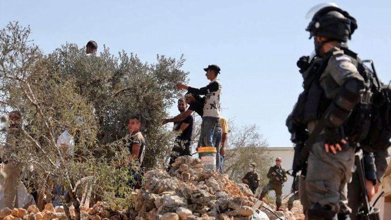"بالمناشير والمعاول، يهاجم المستوطنون الإسرائيليون الفلسطينيين"- الإندبندنت
