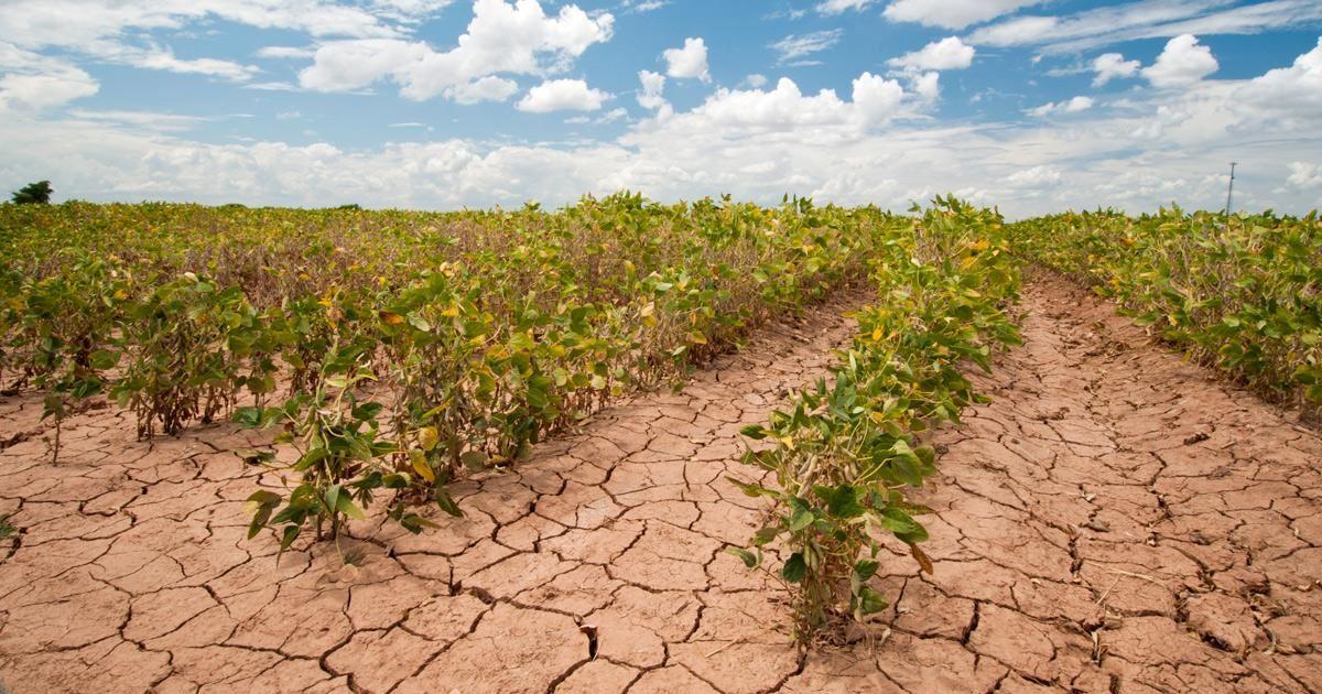 الزراعة المستدامة في مواجهة أزمات لبنان وتغيّر المناخ