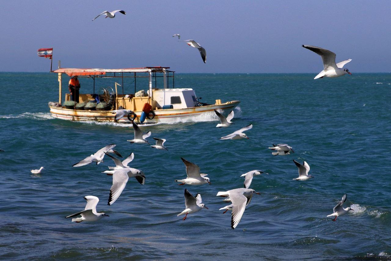 لبنان إلى خريطة المسار الفينيقي... ما الفائدة التي يجنيها البلد المنهار اقتصادياً؟