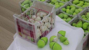 في الامارات... كبتاغون في الليمون "صُنع في لبنان"