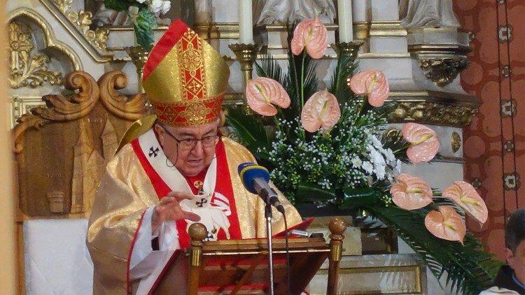 الكاردينال بولجيتش: الحوار والتضامن وحدهما قادران على إيجاد حلول للصراعات المسلحة