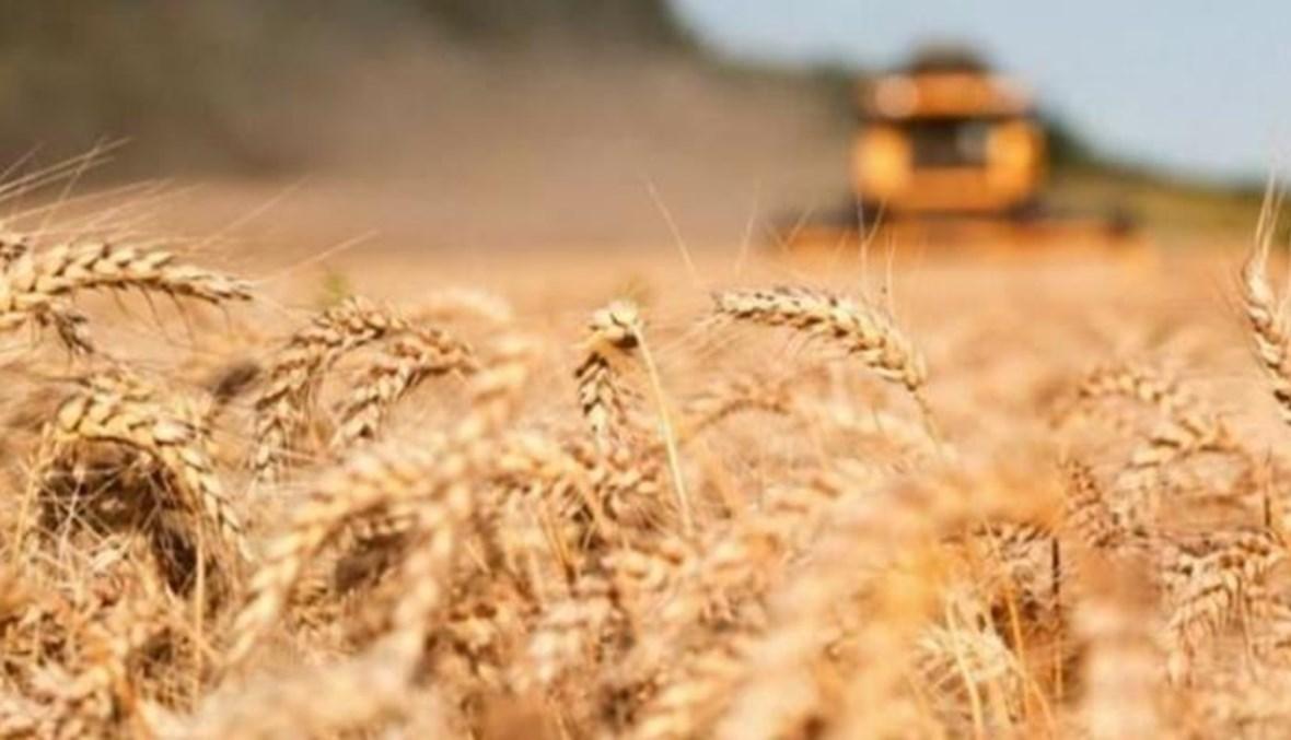 منظمات دولية تدعو إلى التحرك ضد أزمة الغذاء لتجنب الموت