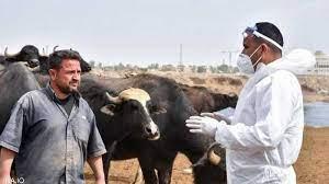 "الفيروس الخطير" يتفشى في العراق.. ويحصد مزيدا من الأرواح