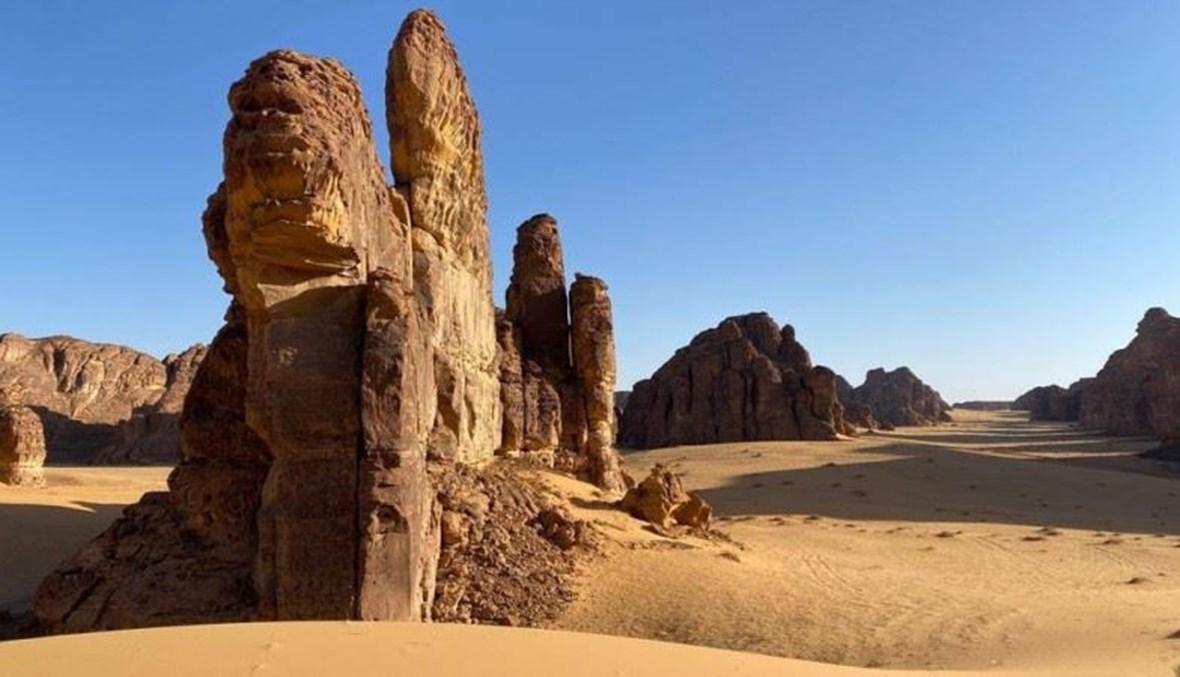 "وادي الفن"... مشروع سعودي لتحويل صحراء العلا إلى وجهة للتراث العالمي ‏