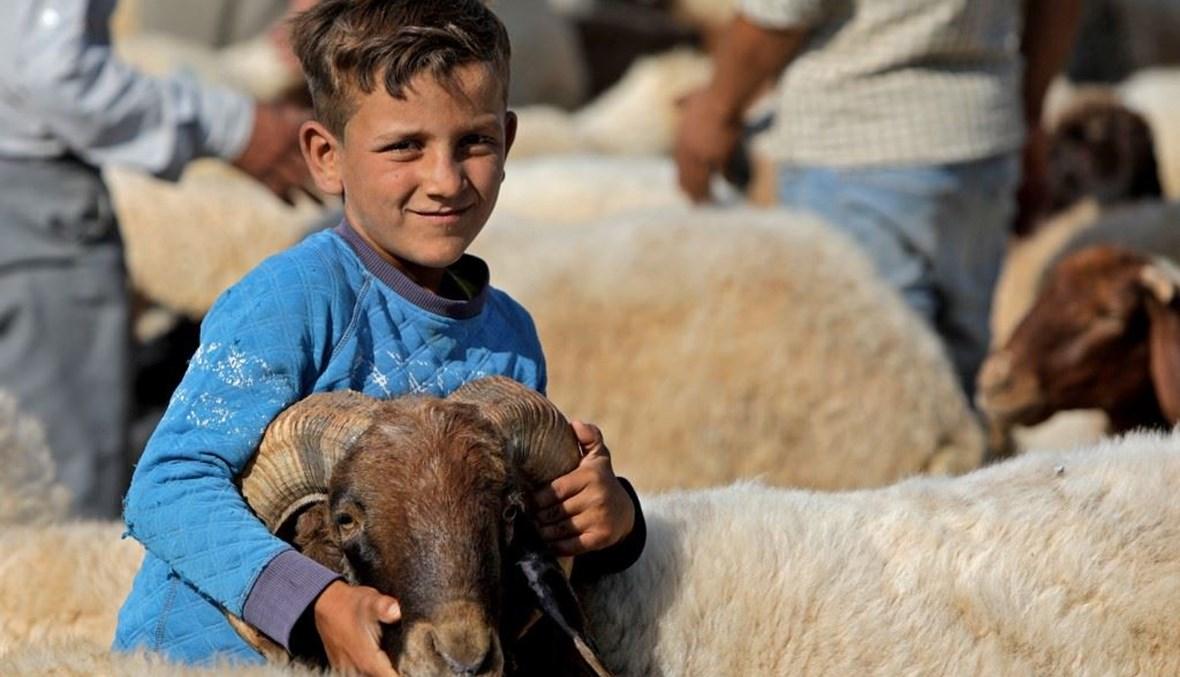 من دون موافقة دمشق... مجلس الأمن يمدّد المفاوضات حول إيصال المساعدات إلى سوريا عبر الحدود