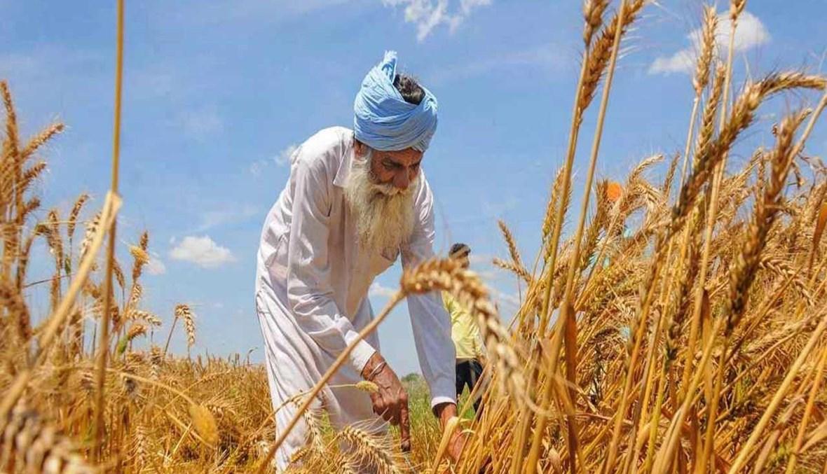 الهند تضع قيوداً على تصدير الدقيق بعد النقص العالمي في مخزون القمح