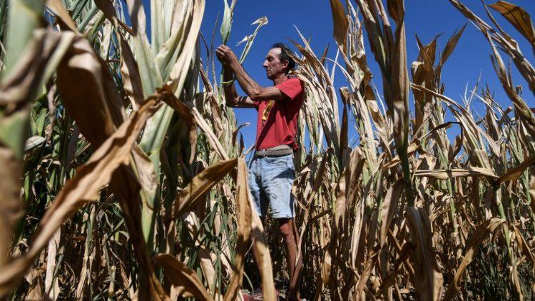 مقابلة مع الرئيس الجديد للصندوق الدولي للتنمية الزراعية