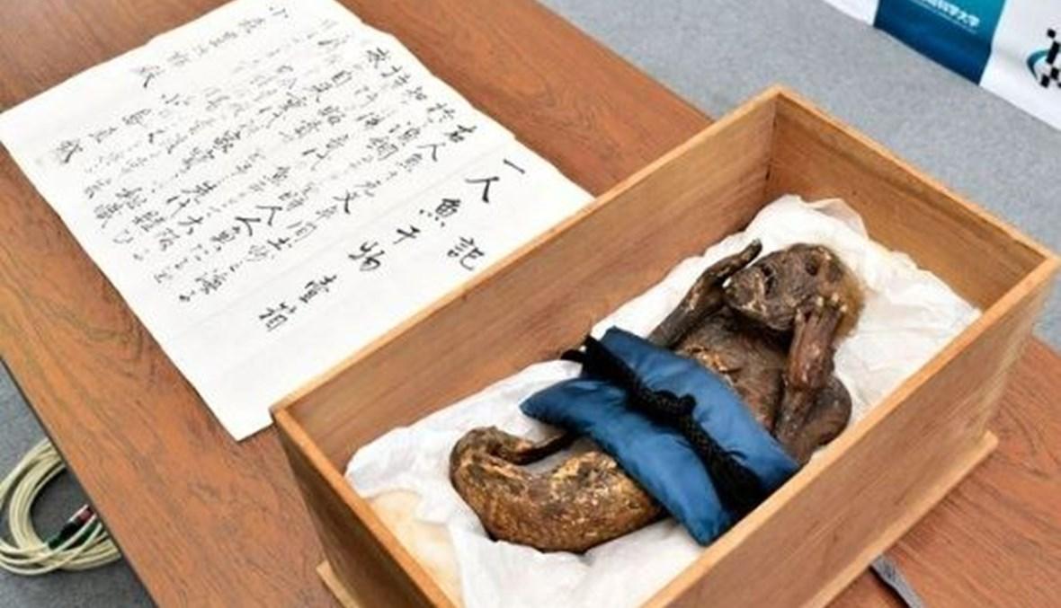 حقيقة صادمة وراء "مومياء حورية البحر" البالغة من العمر 300 عام