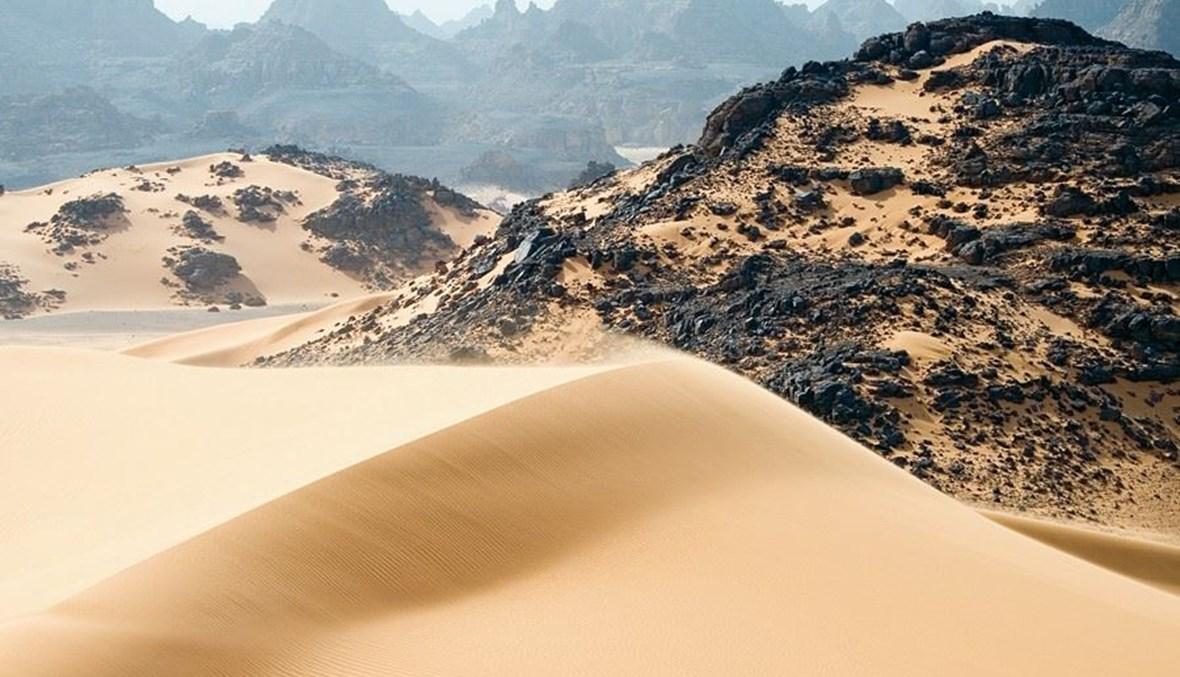 الجزائر تنتقد قرار إسرائيل الاعتراف بالسيادة المغربية على الصحراء الغربية