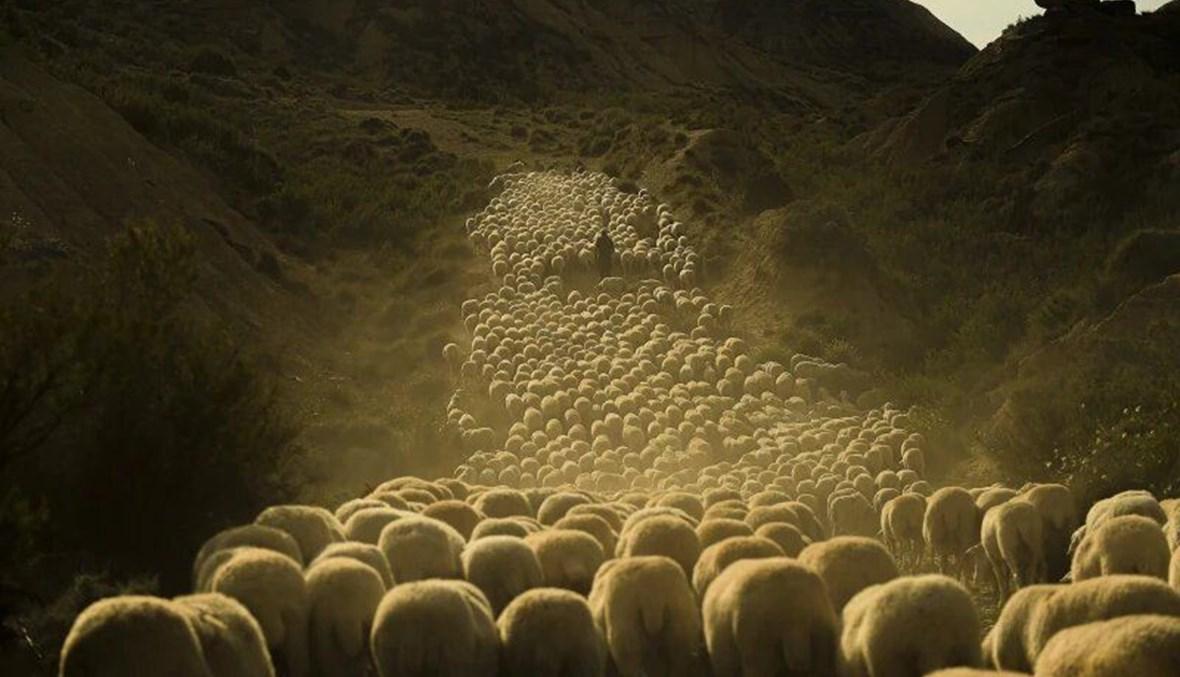 مساء الأحد: حوارات ثنائيّة قبل اللقاء الشامل، والتأزم الإقليمي يُعقّد الحل... خلفيّات أبعد من أمنيّة وراء تحذيرات دول لرعاياها؟