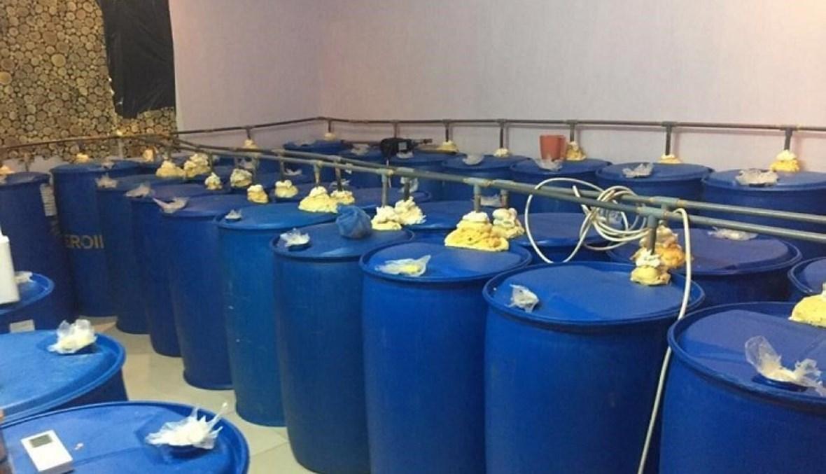 الكويت تضبط أكبر مصنع للخمور المحلية