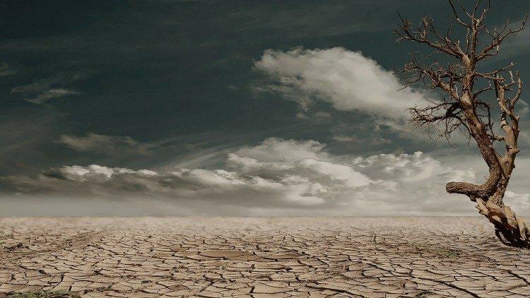 "Laudate Deum"، صرخة البابا من أجل جواب على الأزمة المناخية
