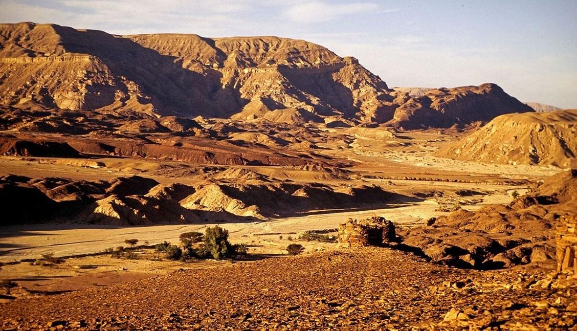 مع اقتراب الاجتياح الإسرائيلي لغزة... مغردون يحذرون "سيناء خط أحمر"