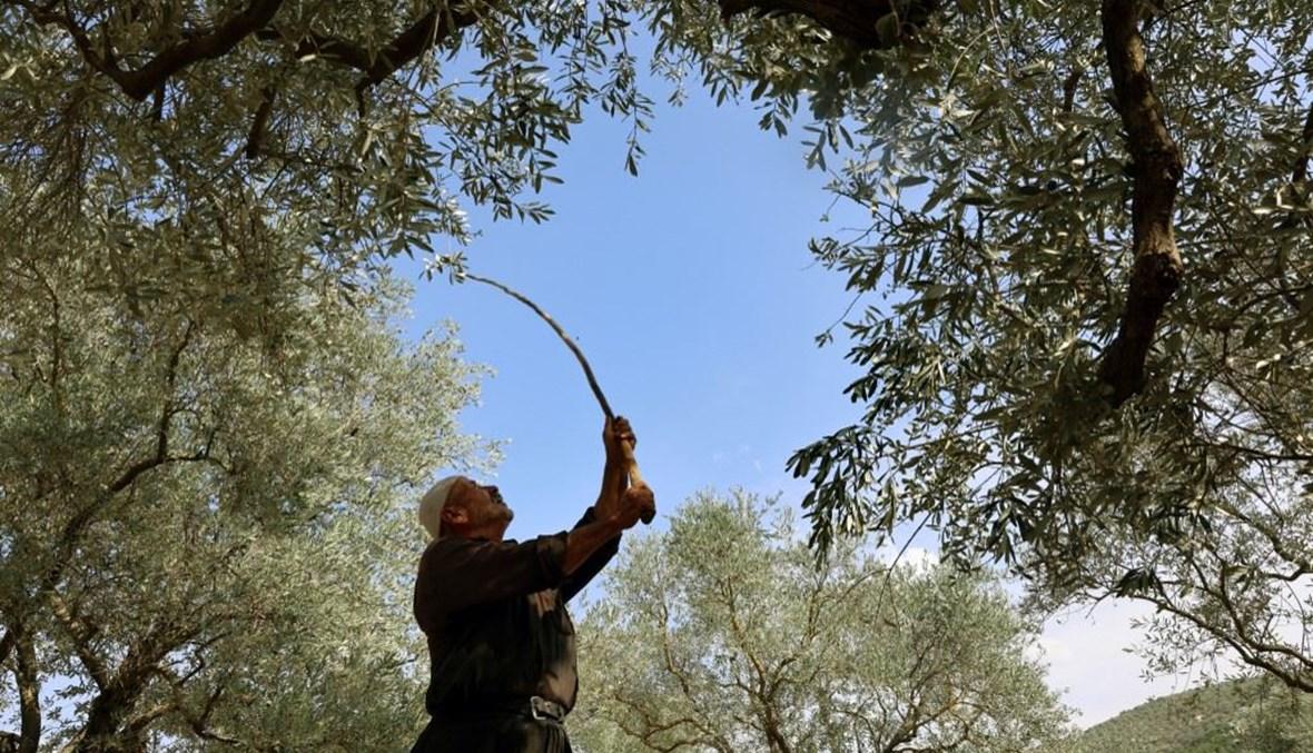 خمسة أخبار بارزة في صباح "النهار"... إسرائيل ترتكب جريمة عائلية جنوباً ونصرالله يضبط المعركة، "فائض انفصام وبعد؟"