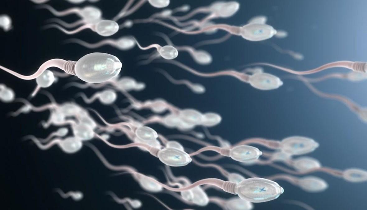 دراسة جديدة تكشف سبباً أساسياً وراء تراجع الخصوبة لدى الرجل