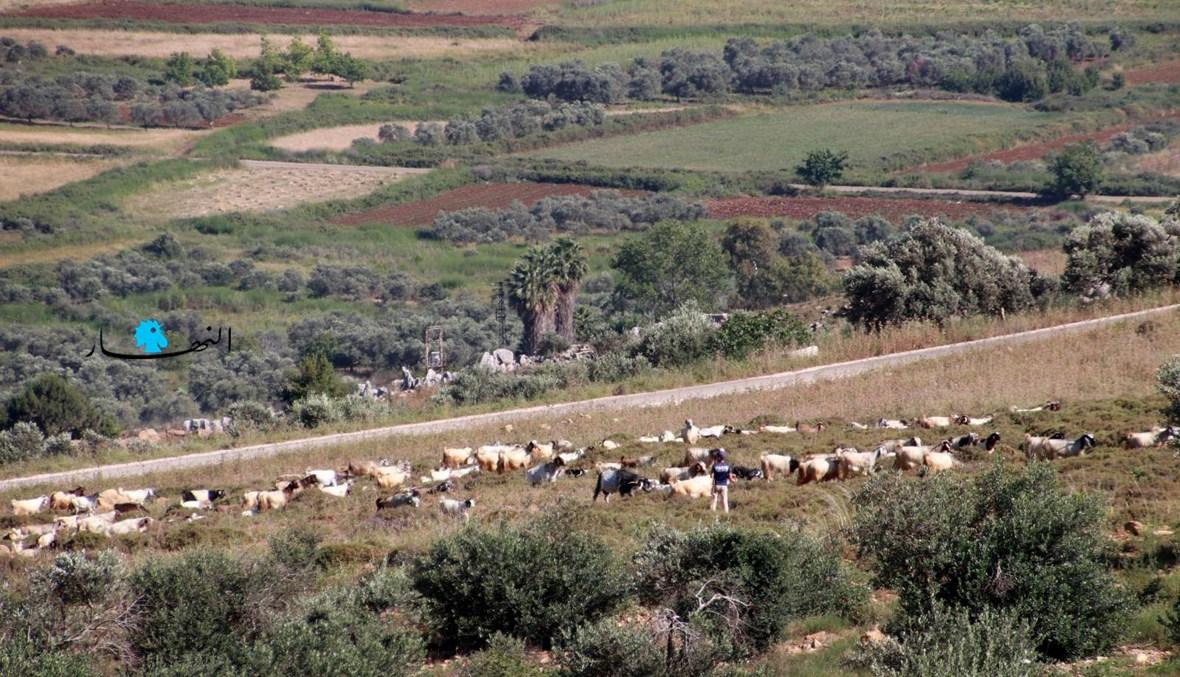 صباح "النهار": فرنسا متوجّسة على النظام ولا هدية من لبنان... مكاسب سياسيّة لـ"حزب الله" من الجنوب؟