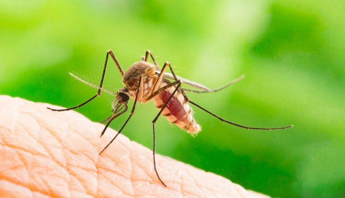 لهذه الأسباب يلسعك البعوض أكثر من الآخرين