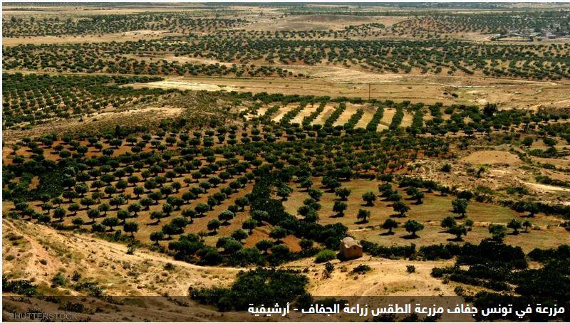 الأمم المتحدة: الأسوأ آت بسبب أشد موجة جفاف بإفريقيا منذ قرن