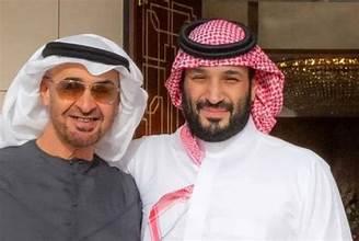 الرئيس الإماراتي وولي العهد السعودي: حل الدولتين أفضل ضمان لاستقرار الشرق الأوسط