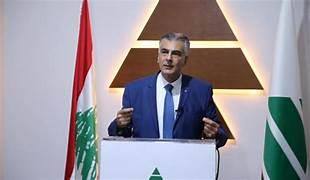 الصايغ: رئيس الجمهورية وحده مخول التفاوض بإسم لبنان