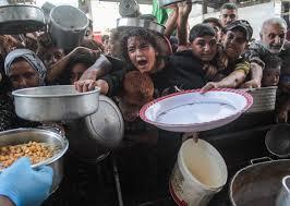 الإمارات ستستأنف عمليات إسقاط المساعدات جوا في غزة "على الفور"