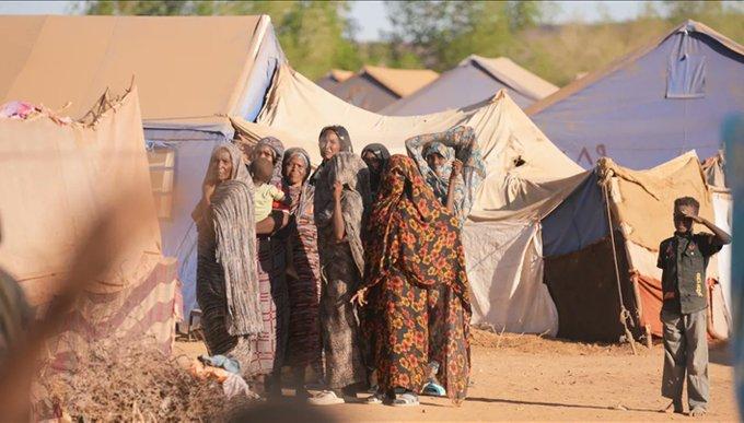 مئات الوفيات وآلاف الإصابات... الكوليرا تجتاح السودان والصحة ‏العالمية تحذّر