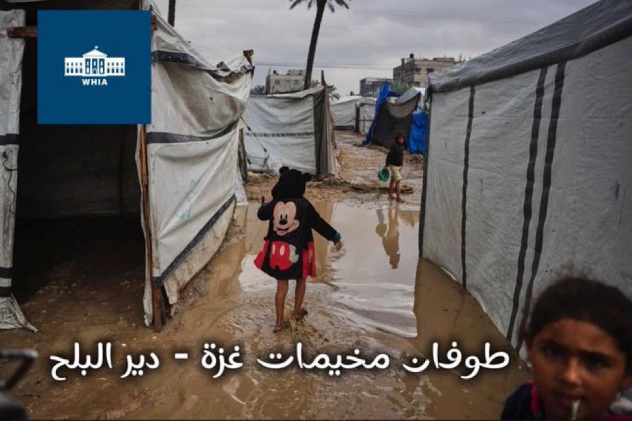 تقدم في تنفيذ خطة ترامب للسلام في غزة عقب محادثات ميامي