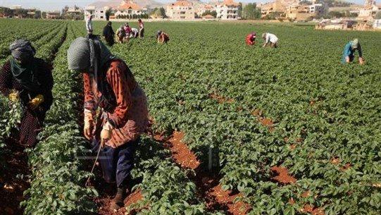 نصيحة في عزّ الأزمة إلى أهالي هذه المناطق