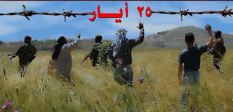 هذا ما قاله السياسيون في عيد "المقاومة والتحرير"... فهمي: لتحرير الدولة من الفساد والفاسدين