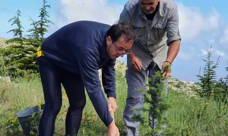 السفير الفرنسي يغرس شجرة أرز في جرد إهدن العالي
