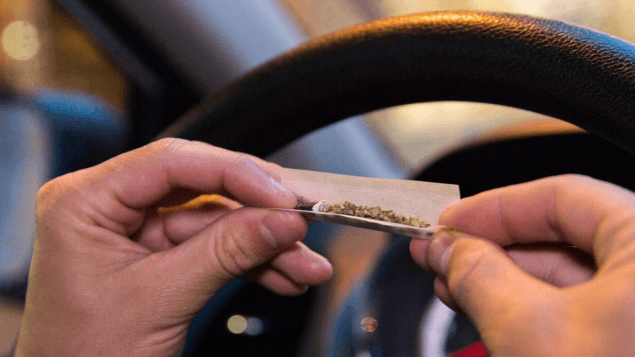 الشباب الكندي بحاجة لمزيد من التوعية حول تأثير الماريجوانا على مهارات القيادة