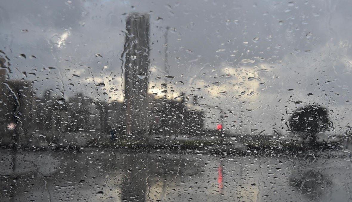 للمطر جذور