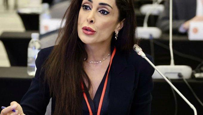 نائبة أوروبية تكشف مخططاً إيرانياً لاختطافها