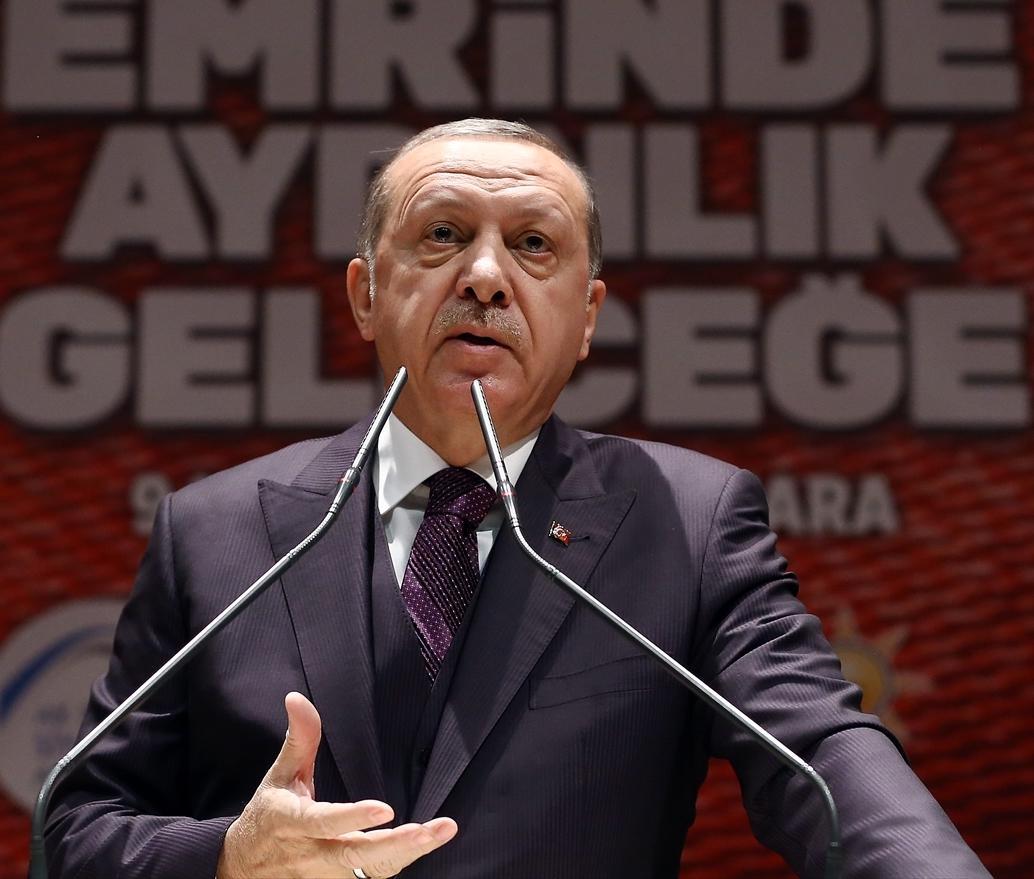 إردوغان: عرضنا على ترامب رؤيتنا للحل في غزة